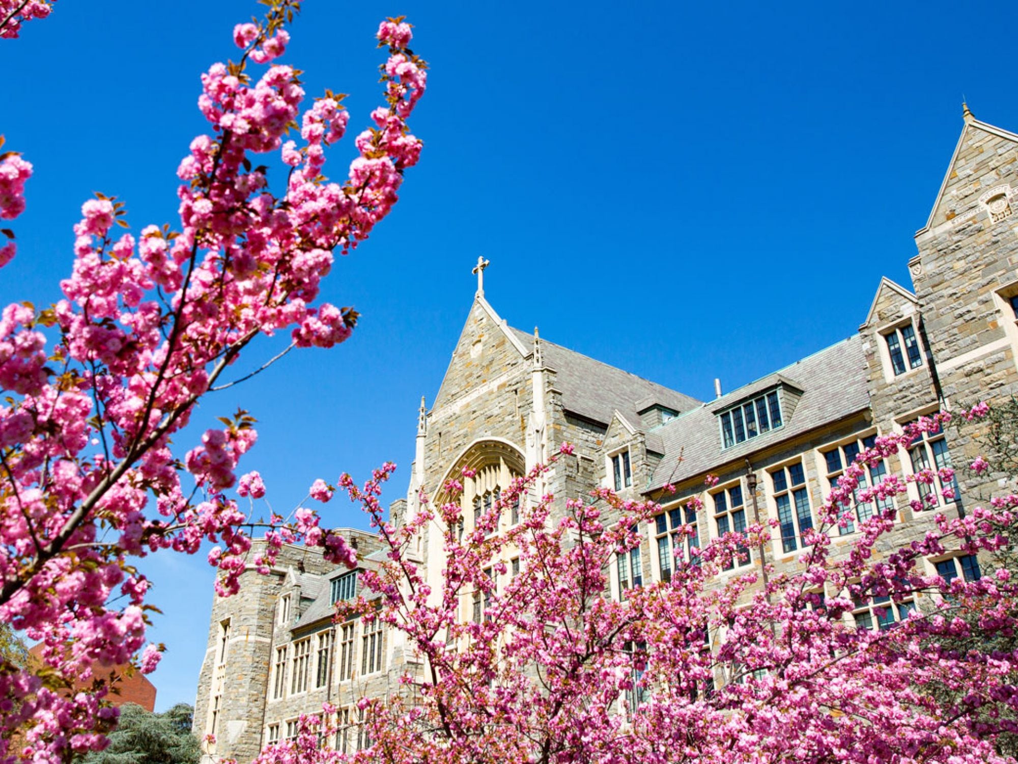 flowers in front of white gravenor