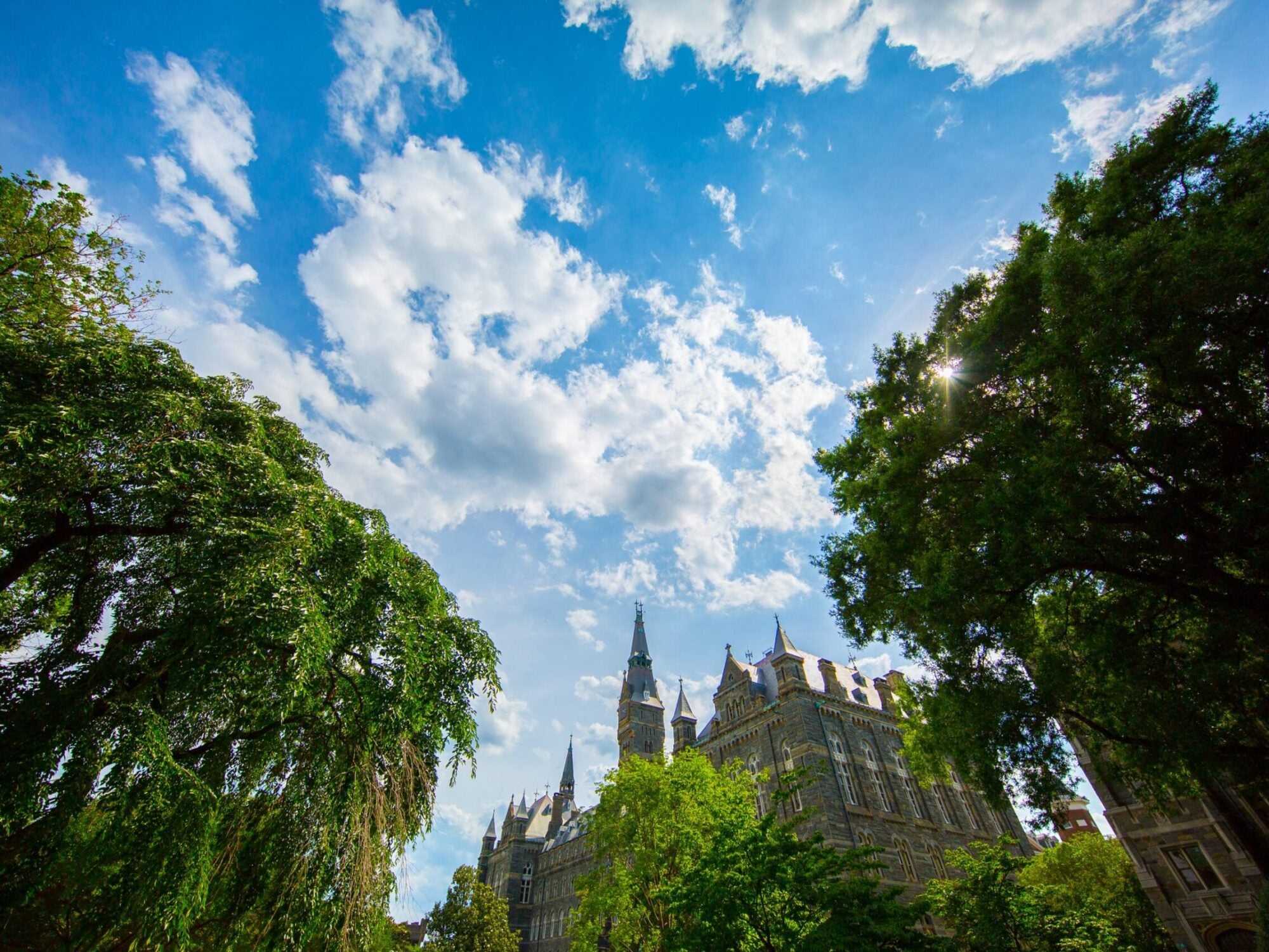 healy hall with trees around